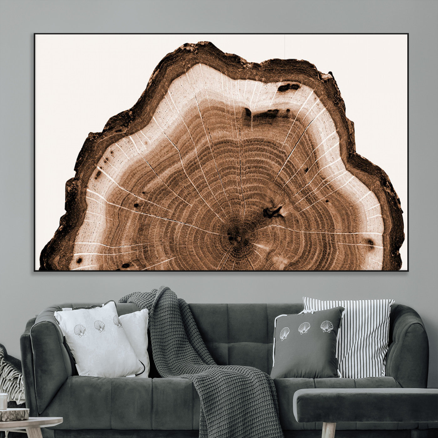 Rustic Wood Rings Wall Art | Nature-Inspired Tree Ring