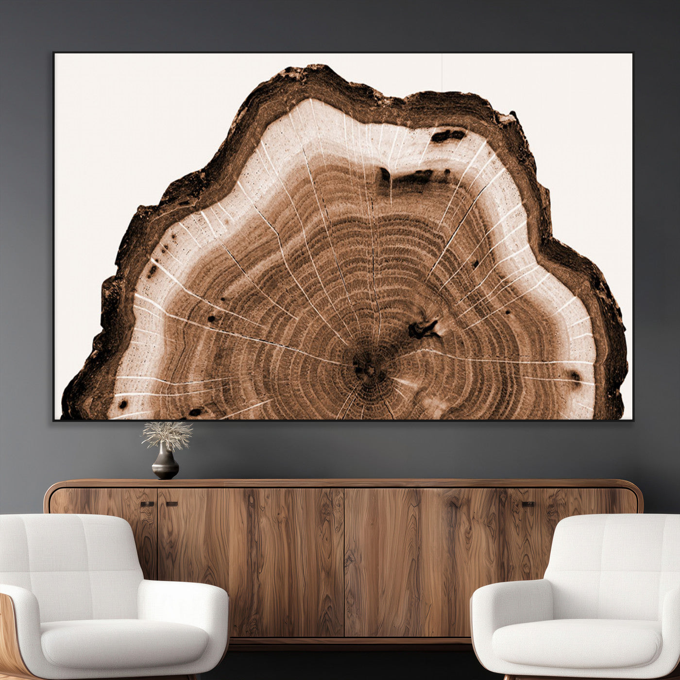 Rustic Wood Rings Wall Art | Nature-Inspired Tree Ring