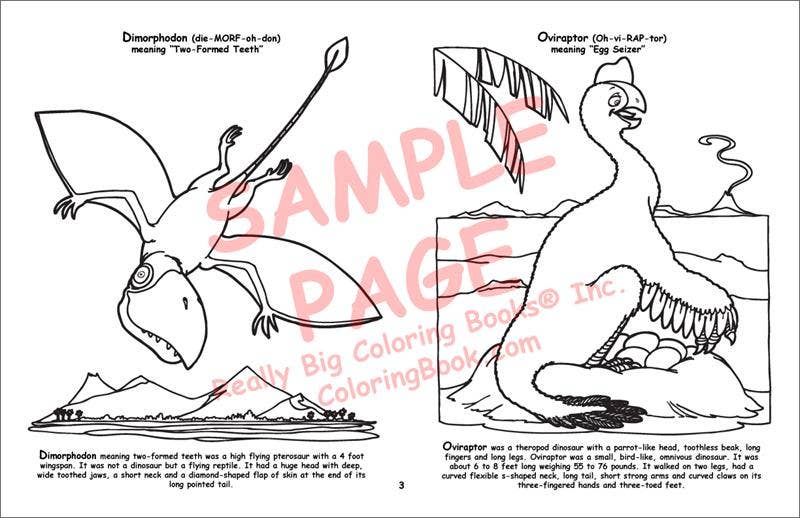 Dinosaur LapTop Coloring Book 17"x11"