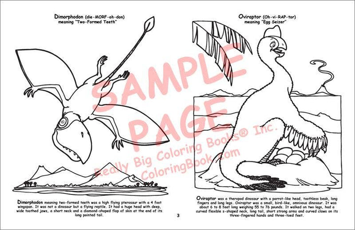 Dinosaur LapTop Coloring Book 17"x11"