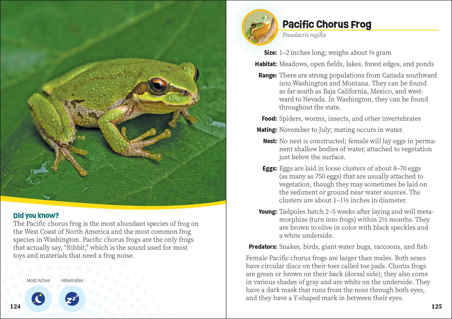 Critters of Washington