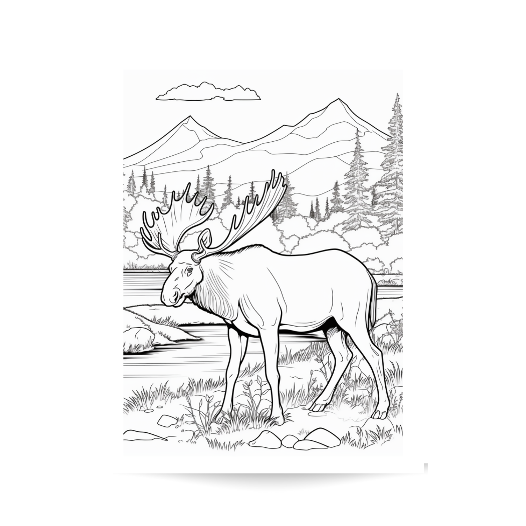 Alaskan Wildlife Adult Coloring Book