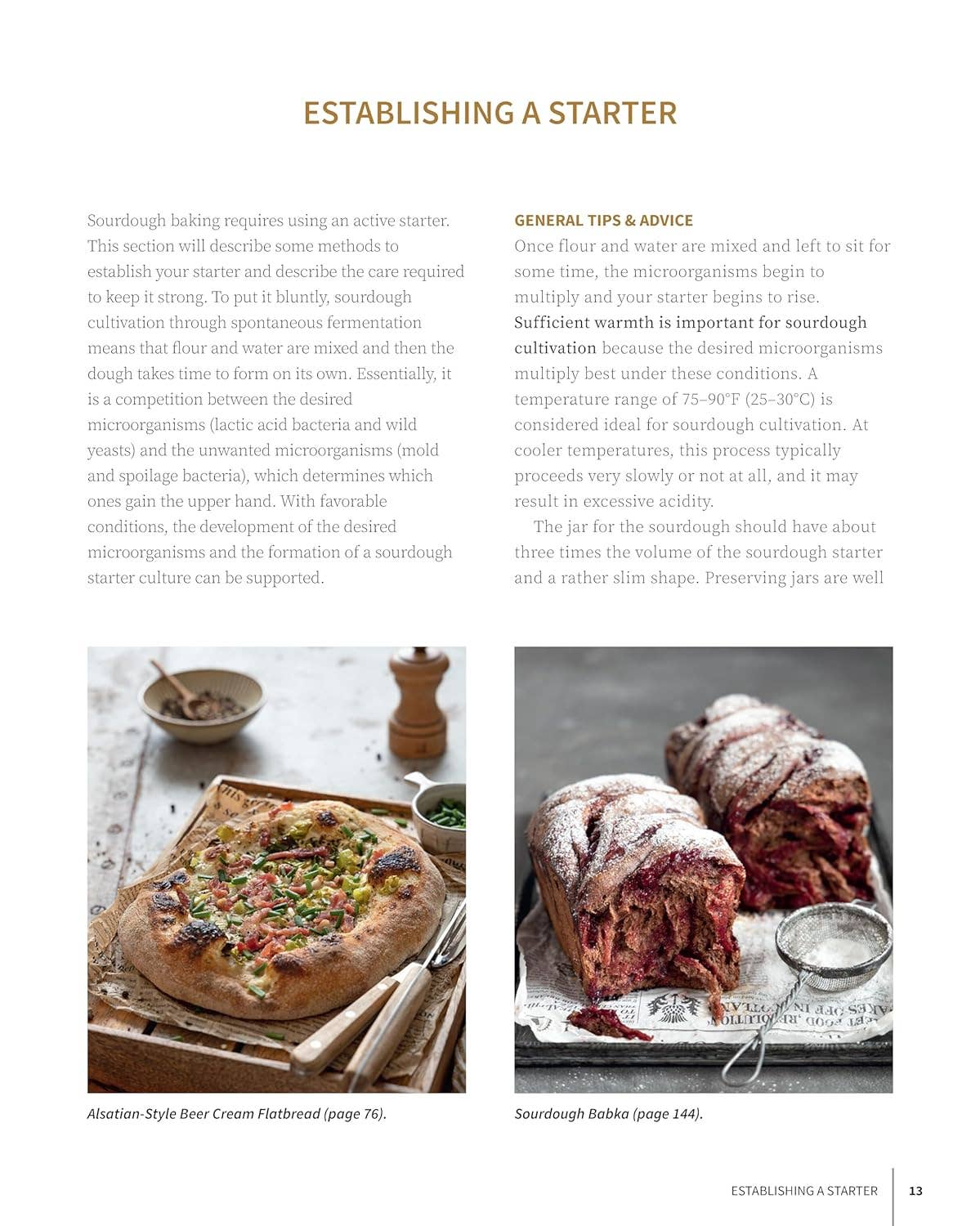 Artisan Sourdough: Bread and Beyond-Includes Starter Recipes