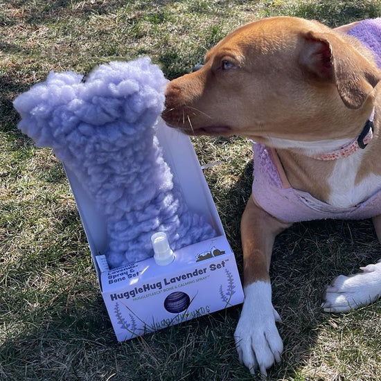 HuggleHug™ Lavender Bone & 2oz Calming Spray Dog Toy Set
