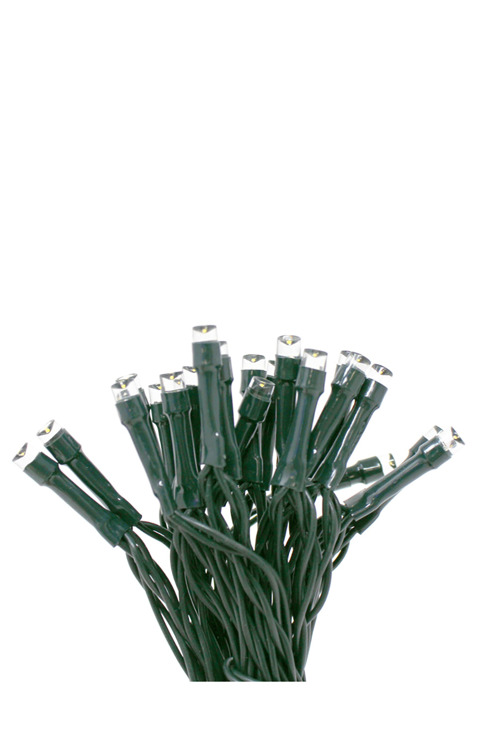 40 LED String Light with Green Wire - Battery Operated