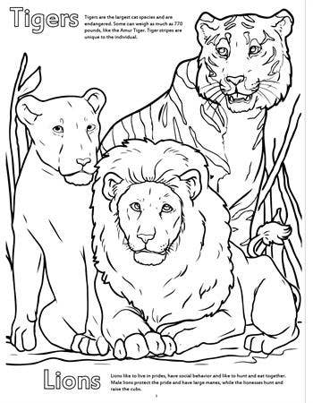 Zoo Animals Really Big Coloring Books 12"x18"
