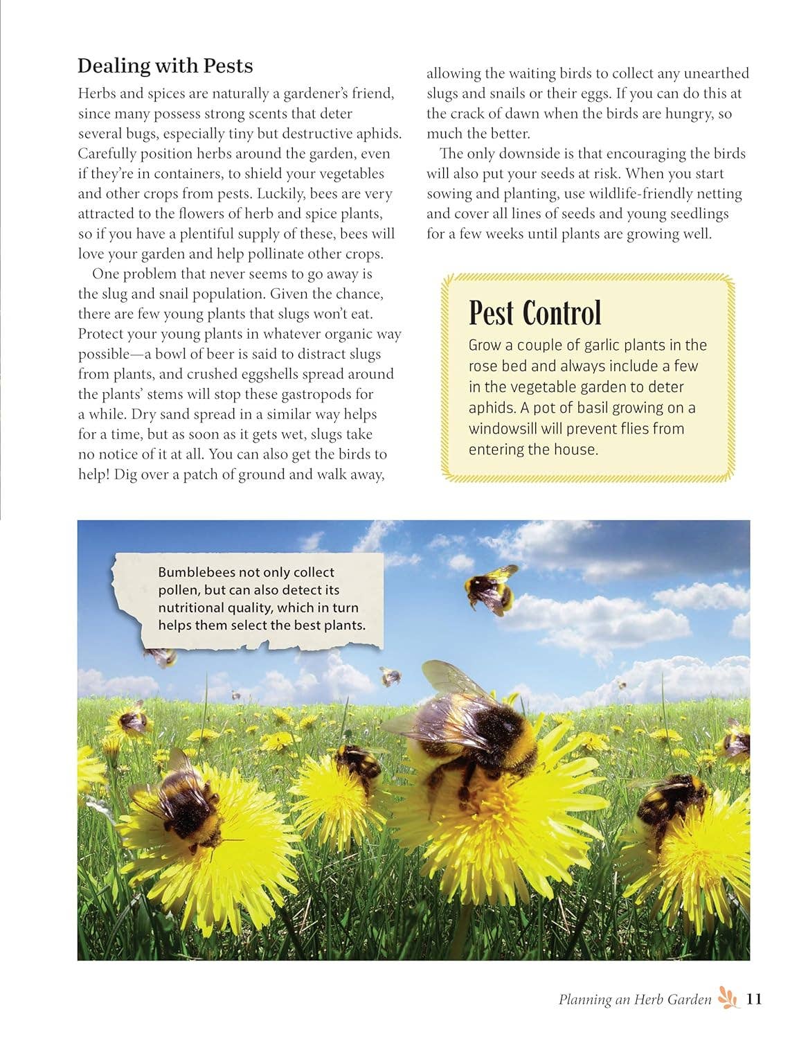 Complete Guide to Growing and Cultivating Herbs & Spices