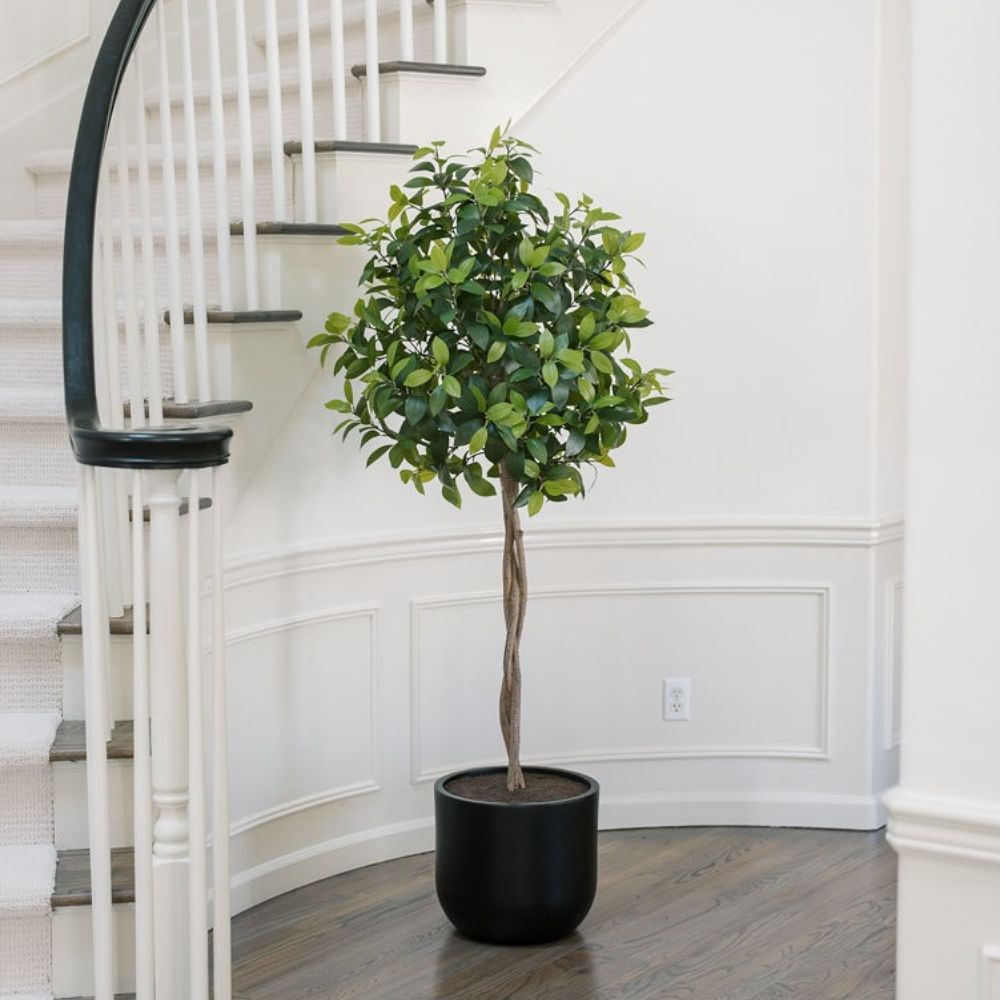 6' Artificial Laurel Tree