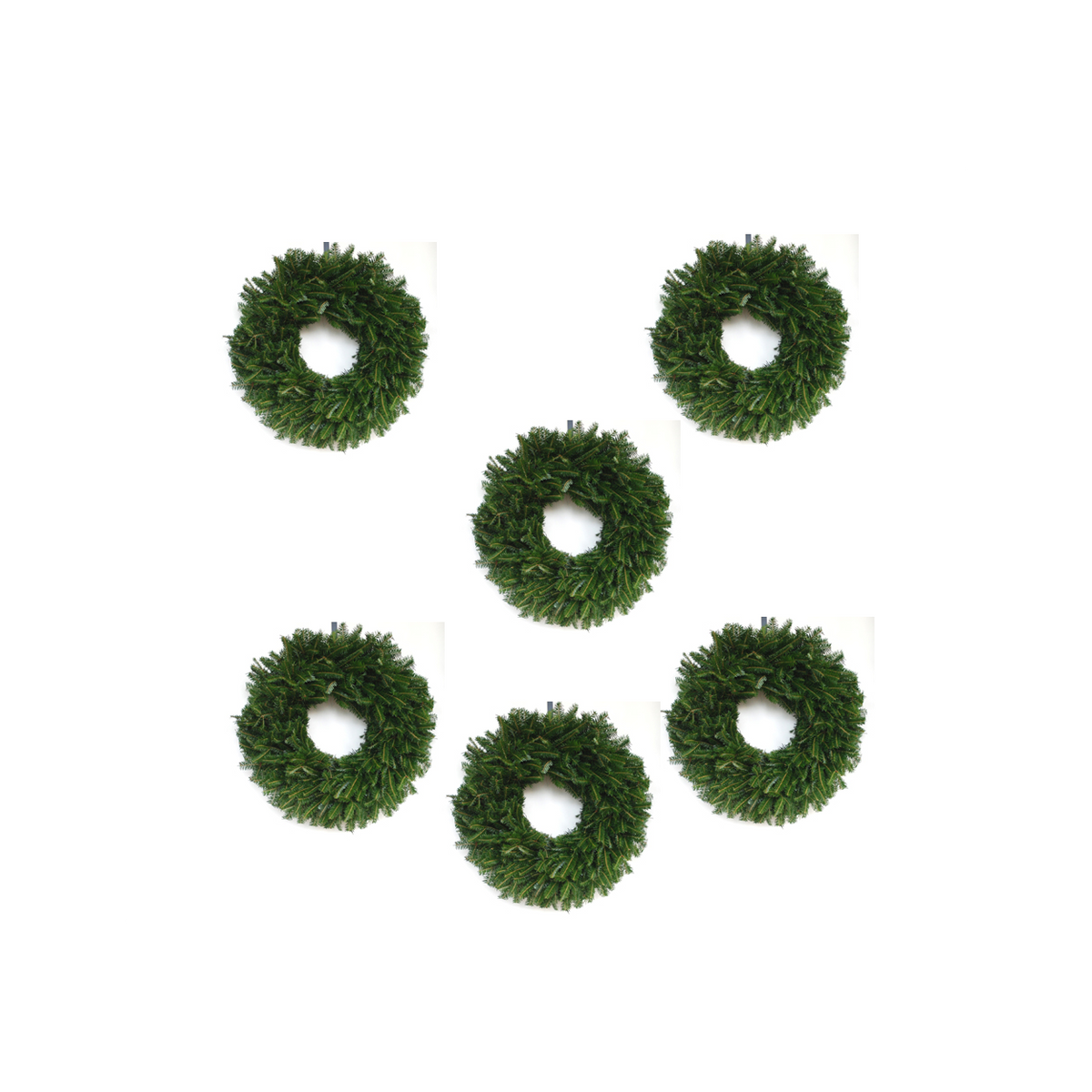 6 Pack Plain Balsam Fir Wreaths
