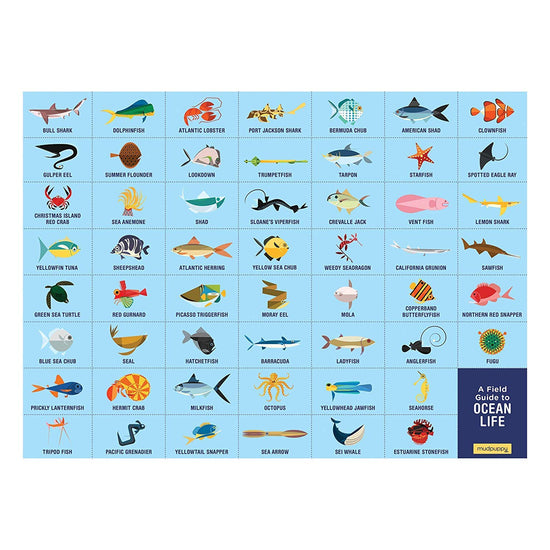 Montessori Ocean Life Puzzle