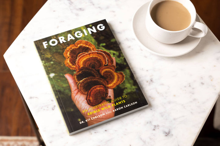 Foraging: An Illustrated Guide to Edible Wild Plants