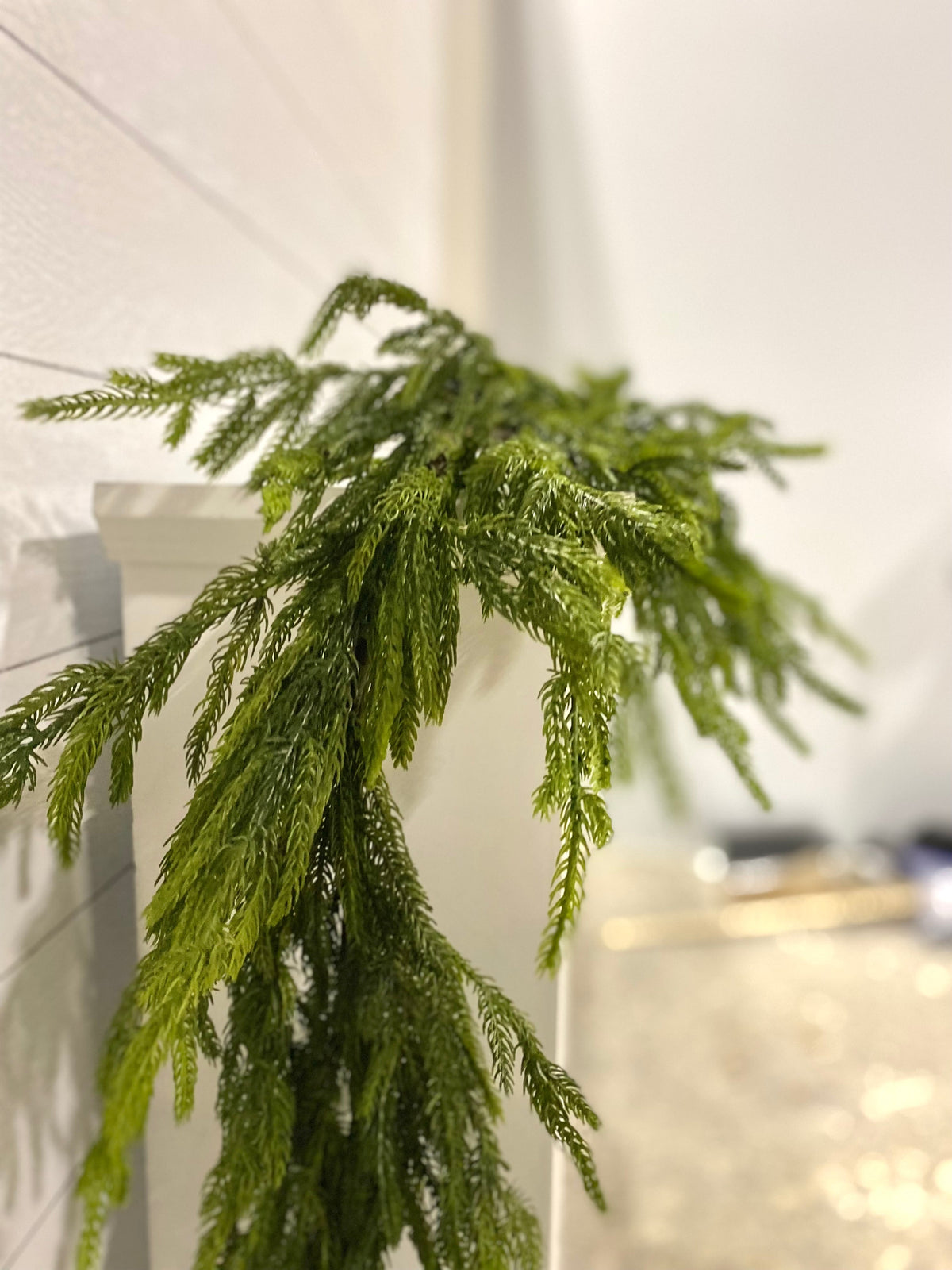 Artificial 6' Norfolk Pine Garland, evergreen home accent for fireplace, railing or entryway