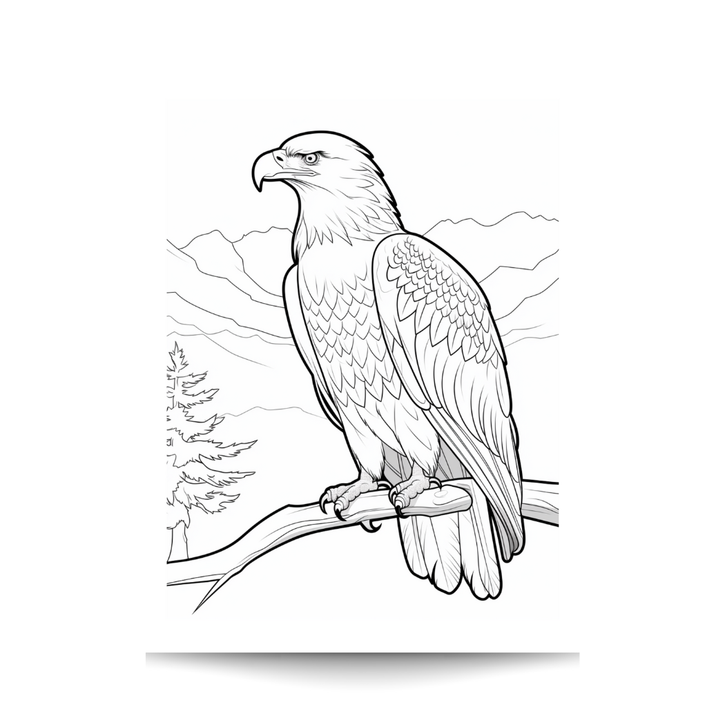 Alaskan Wildlife Adult Coloring Book