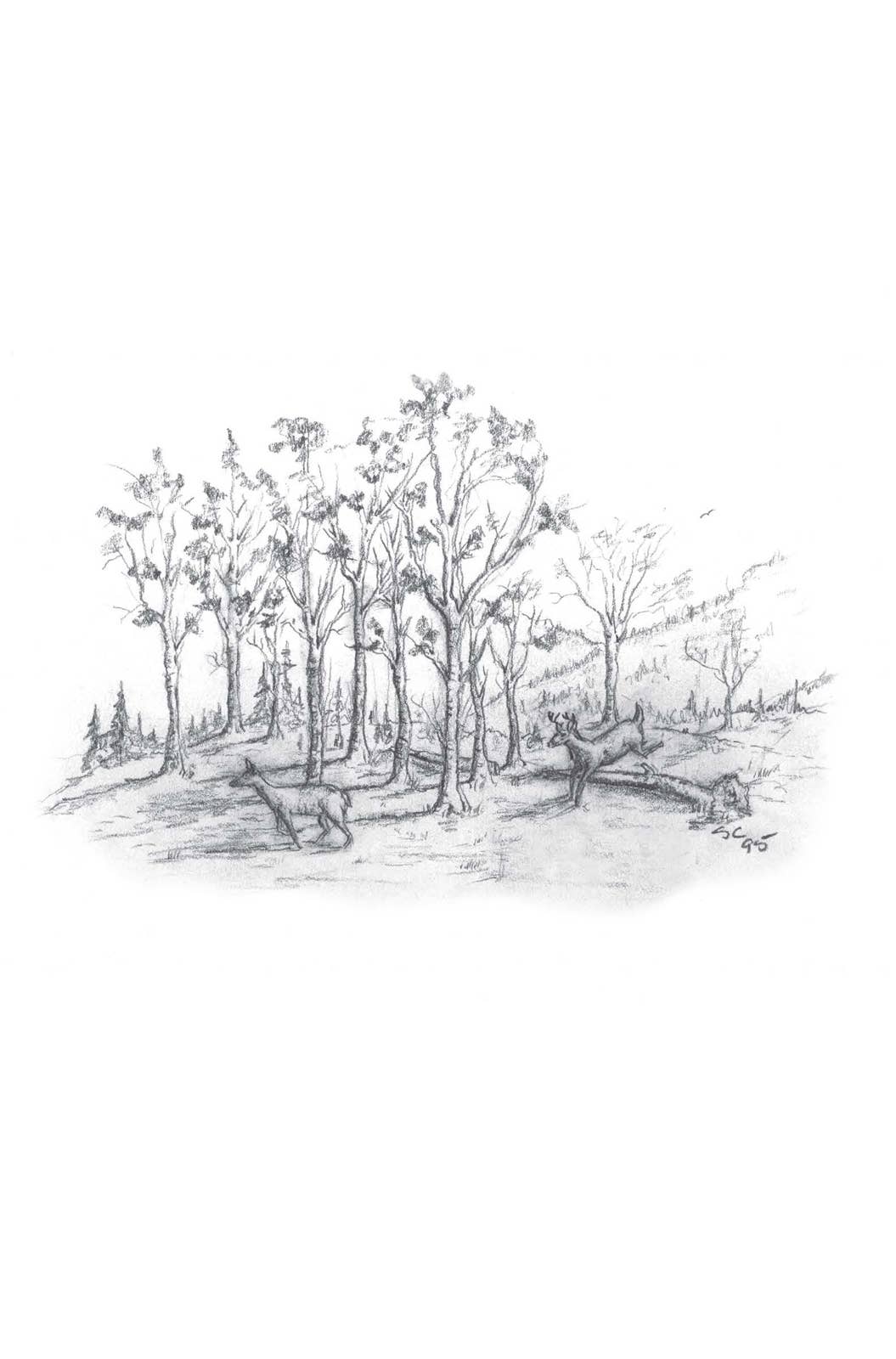 A Look at Life from a Deer Stand Book (Milano Softone)