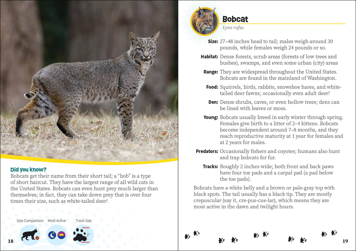 Critters of Washington