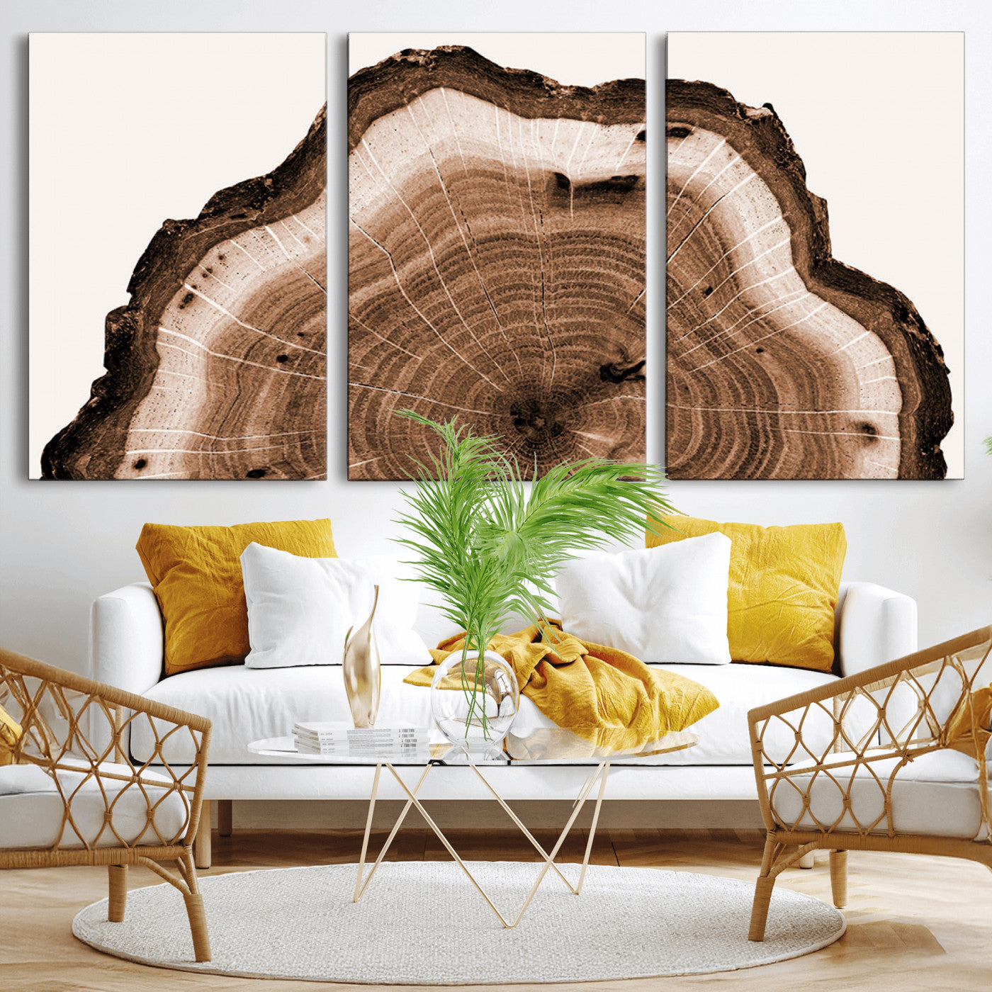 Rustic Wood Rings Wall Art | Nature-Inspired Tree Ring