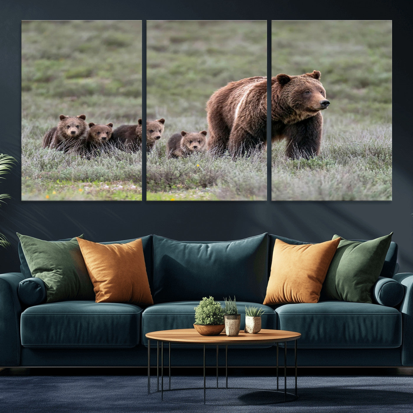 Wildlife Photography of 399 Grizzly Bear Cubs | Queen of the
