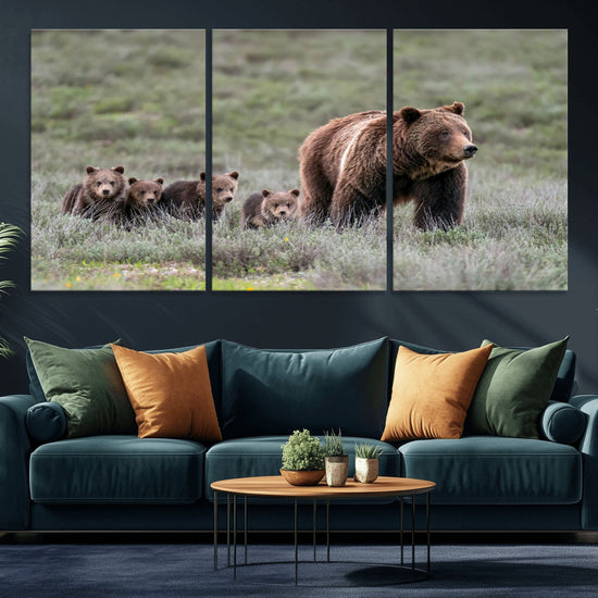 Wildlife Photography of 399 Grizzly Bear Cubs | Queen of the