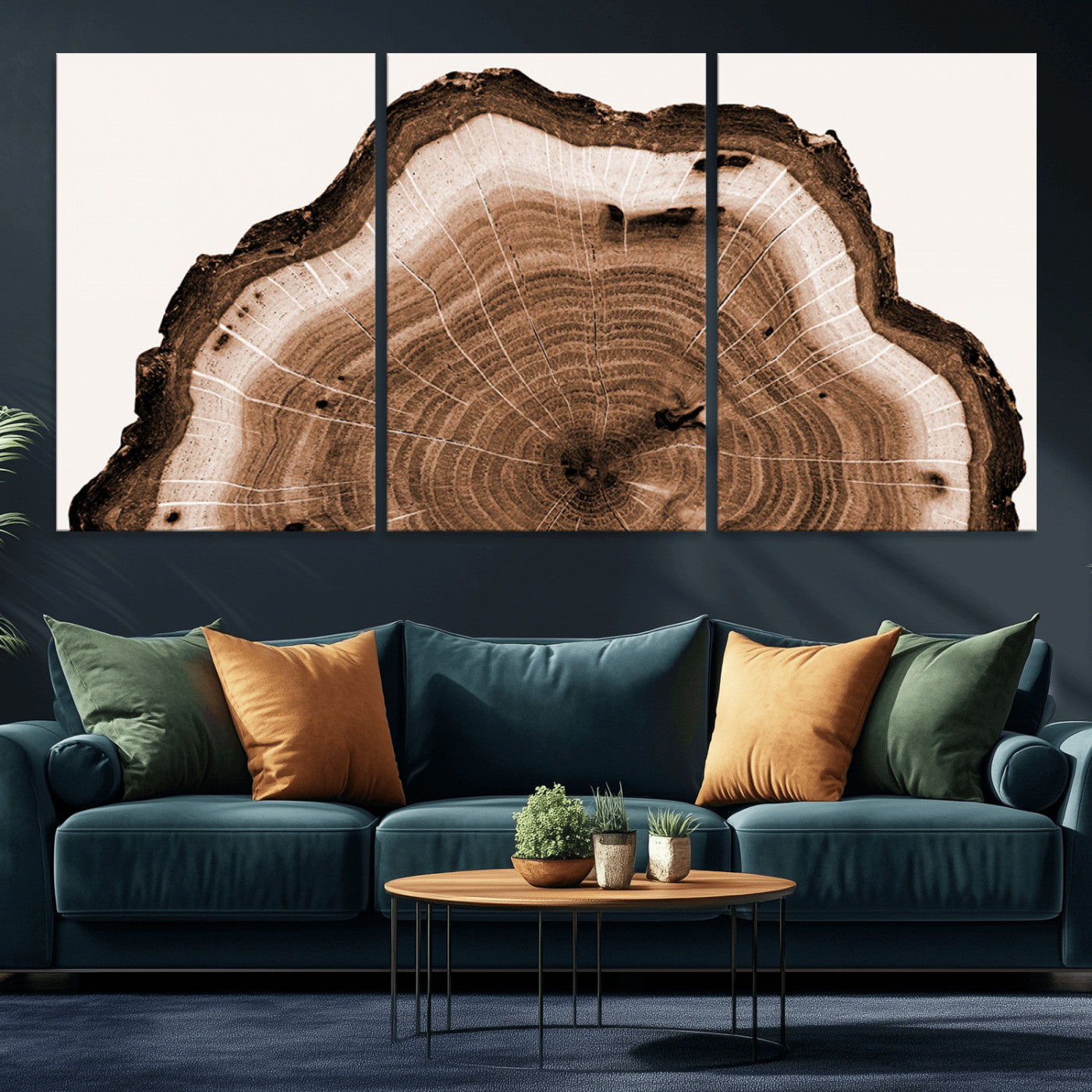 Rustic Wood Rings Wall Art | Nature-Inspired Tree Ring