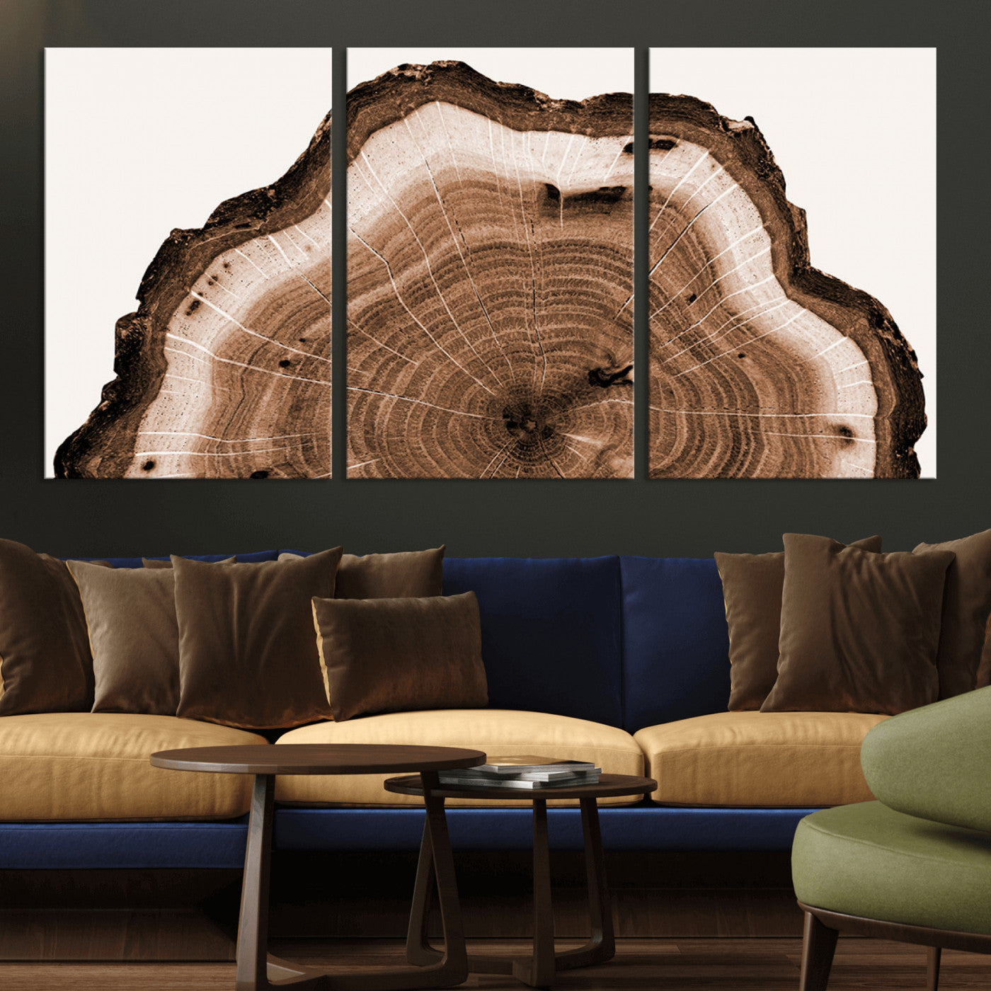 Rustic Wood Rings Wall Art | Nature-Inspired Tree Ring