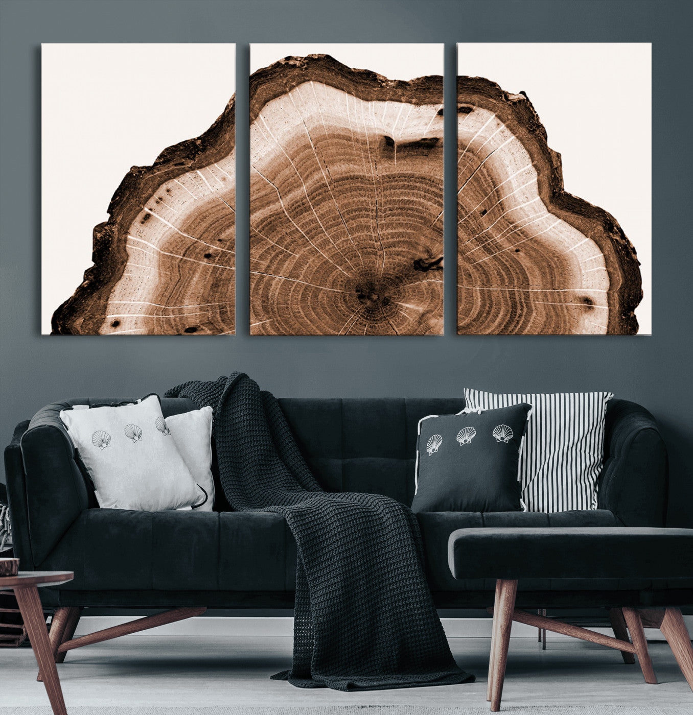 Rustic Wood Rings Wall Art | Nature-Inspired Tree Ring