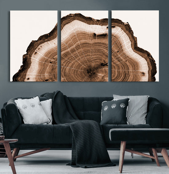 Rustic Wood Rings Wall Art | Nature-Inspired Tree Ring