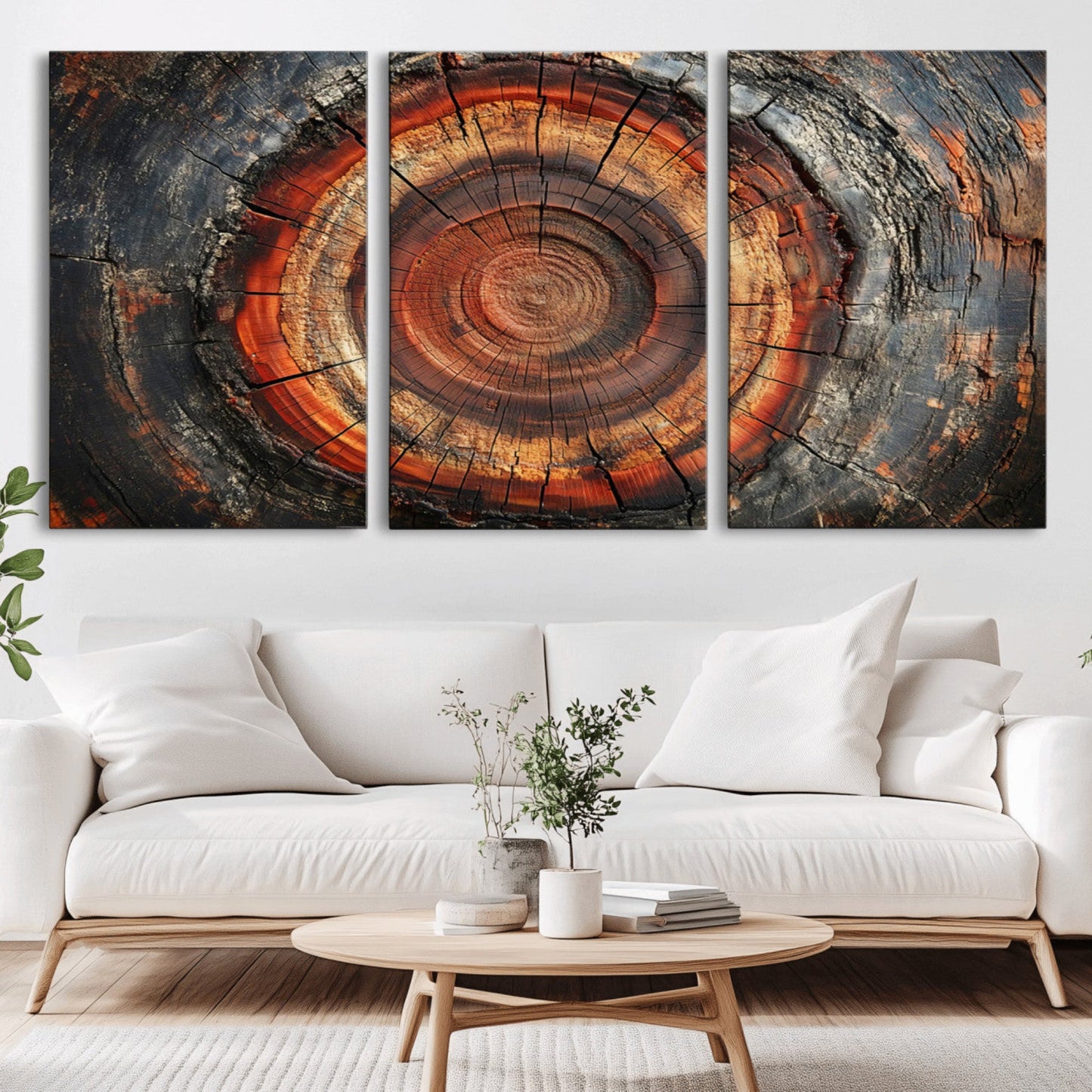 Wood Grain Canvas Wall Art - Framed Abstract Tree Ring