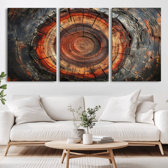 Wood Grain Canvas Wall Art - Framed Abstract Tree Ring