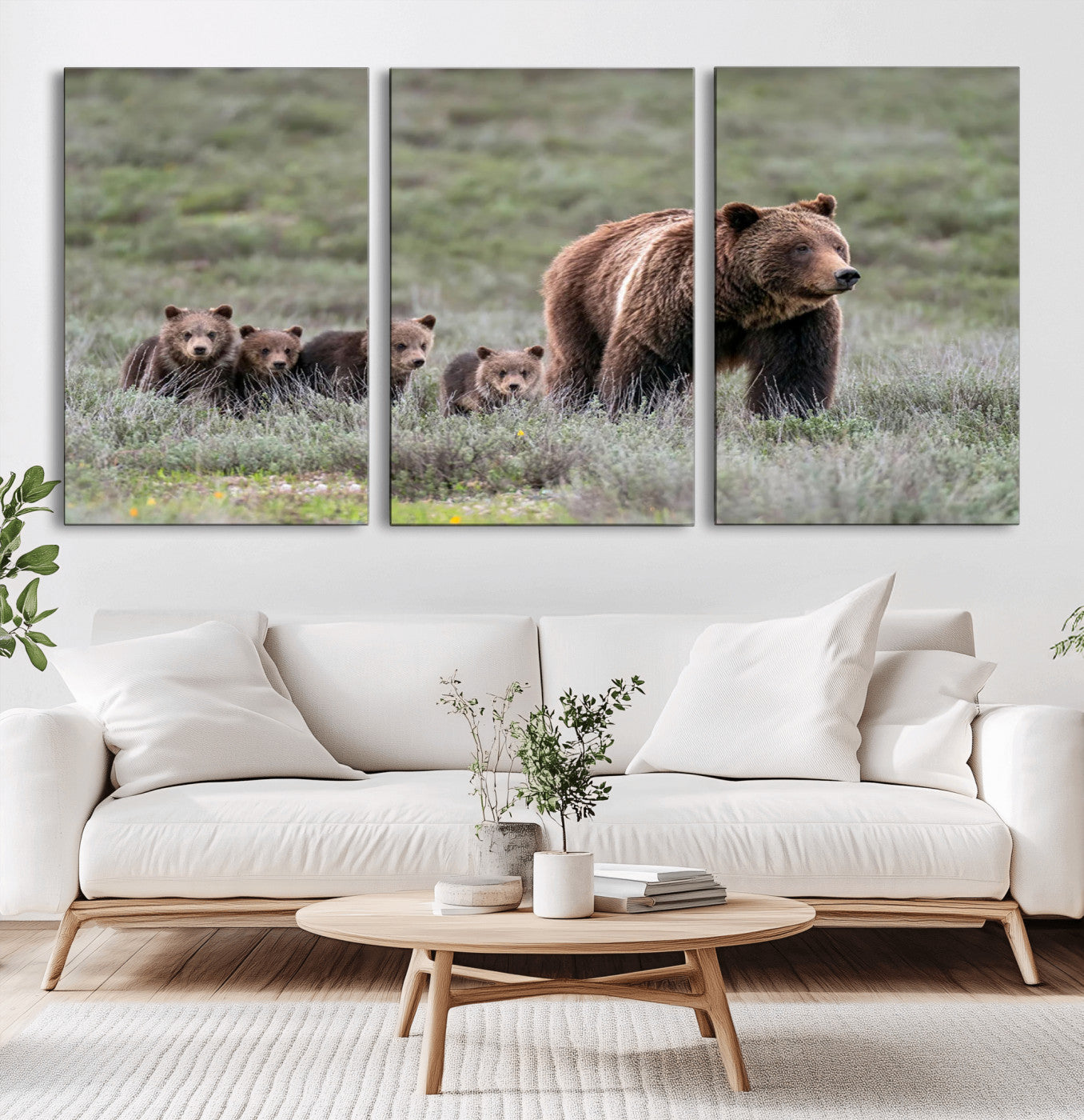 Wildlife Photography of 399 Grizzly Bear Cubs | Queen of the
