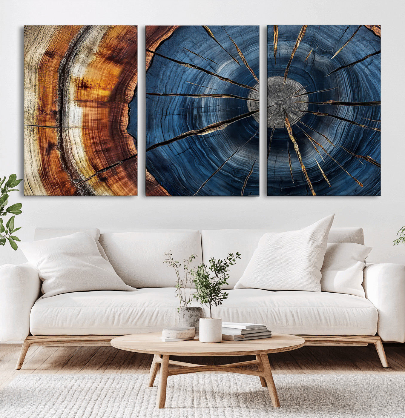 Framed Abstract Tree Ring Wall Art Print Natural Rustic Wood