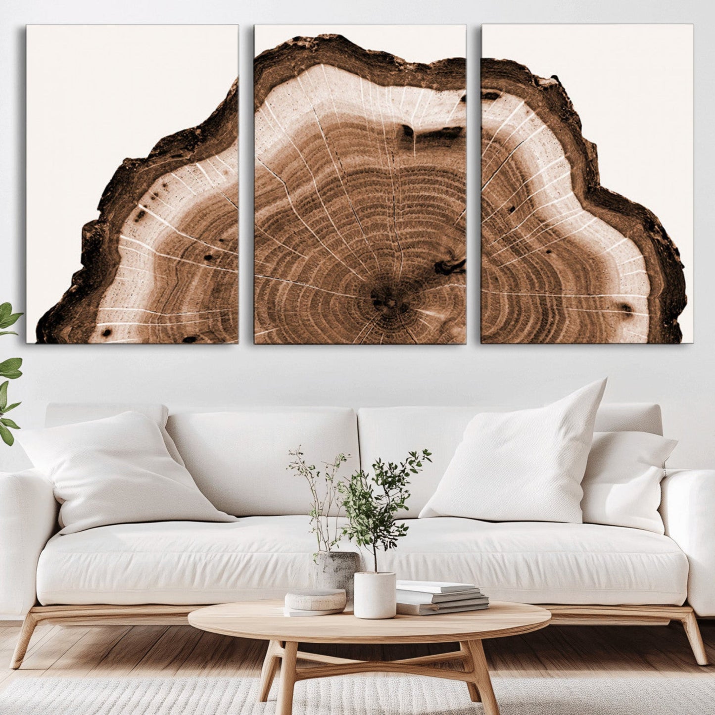 Rustic Wood Rings Wall Art | Nature-Inspired Tree Ring