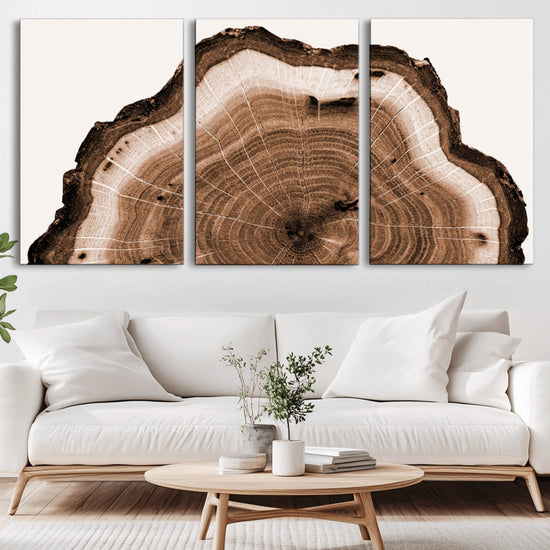 Rustic Wood Rings Wall Art | Nature-Inspired Tree Ring