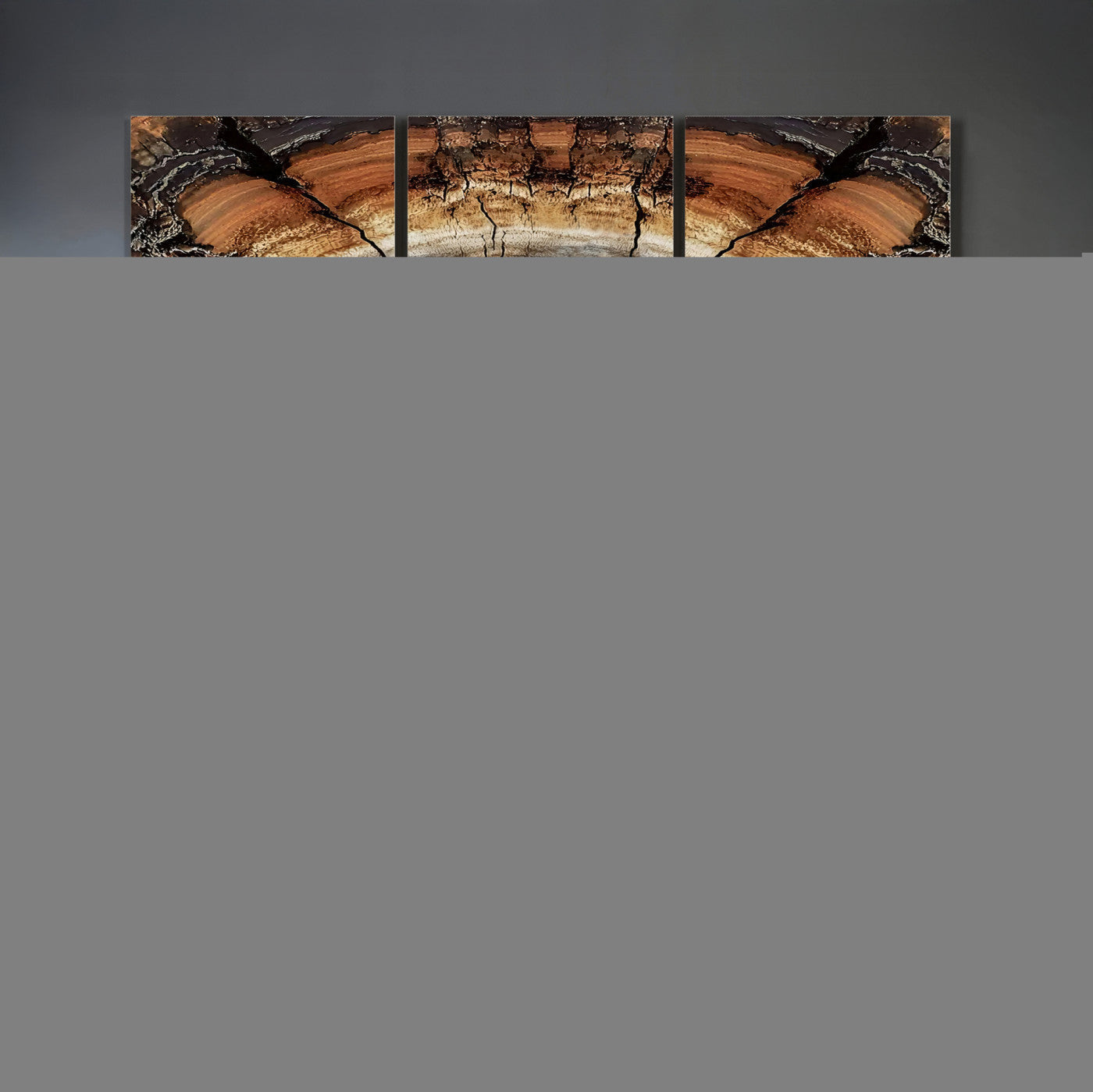 Tree Rings Wall Art Canvas Print – Rustic Wood Texture