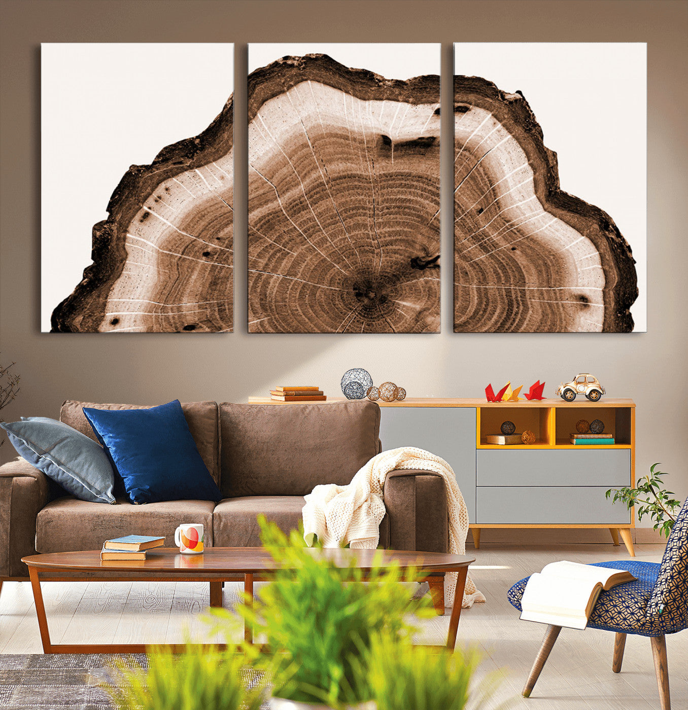 Rustic Wood Rings Wall Art | Nature-Inspired Tree Ring