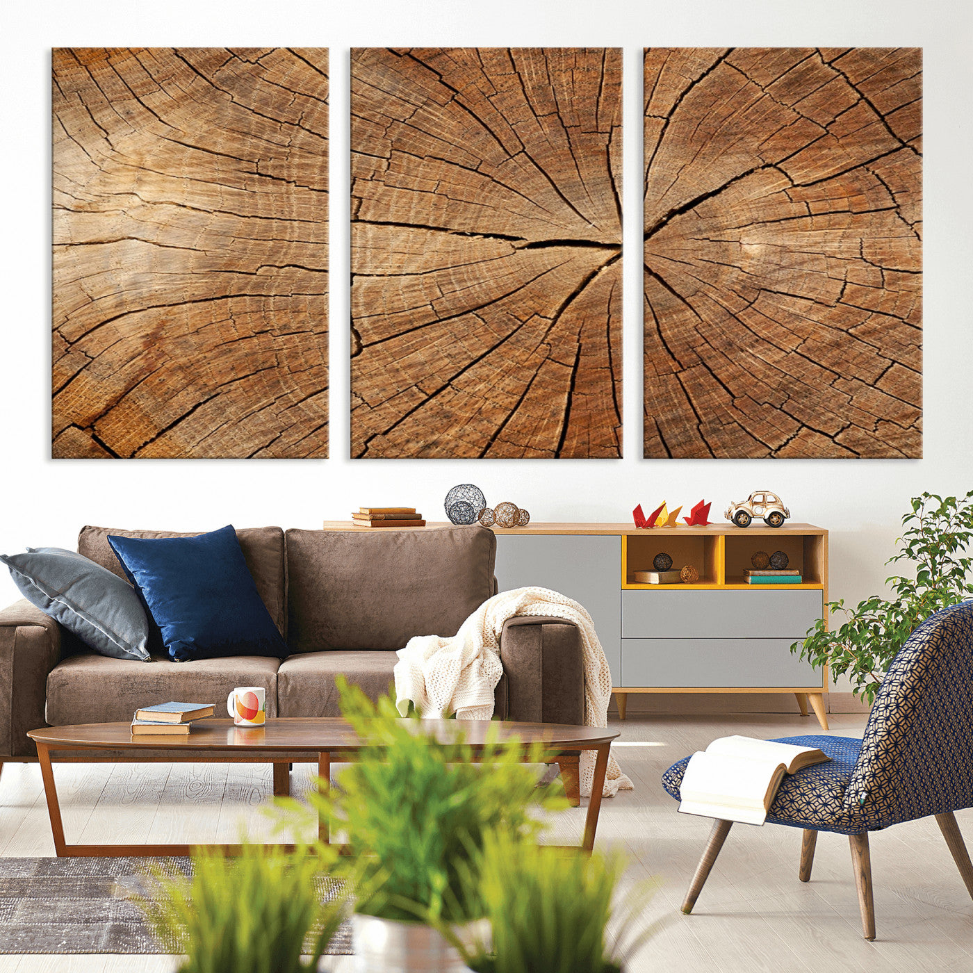 Tree Ring Canvas Art, Rustic Wood Grain Wall Art, Tree Slice