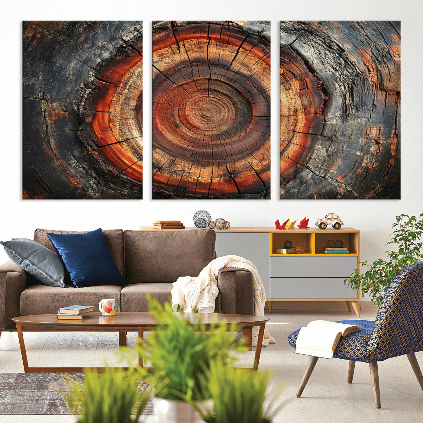 Wood Grain Canvas Wall Art - Framed Abstract Tree Ring