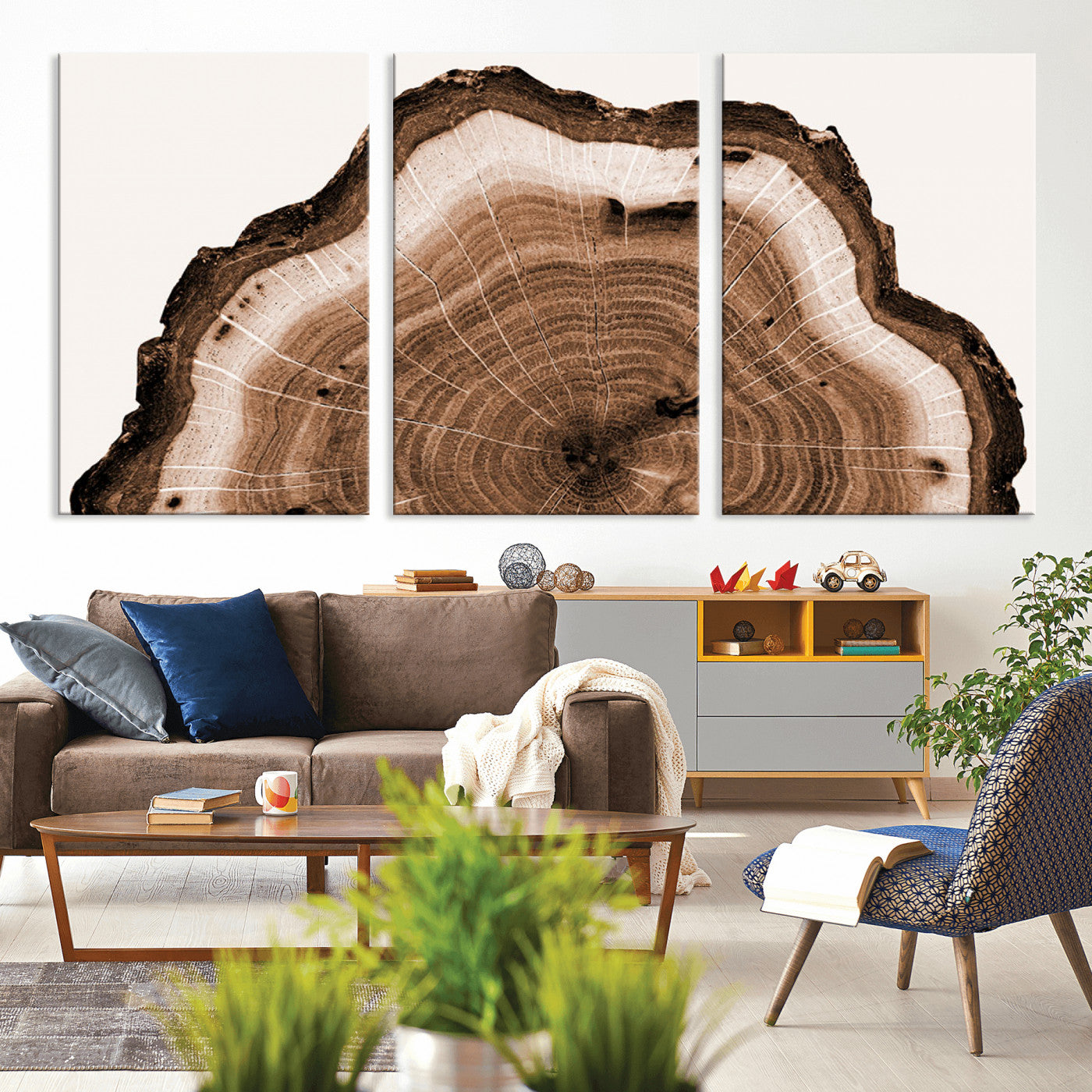 Rustic Wood Rings Wall Art | Nature-Inspired Tree Ring