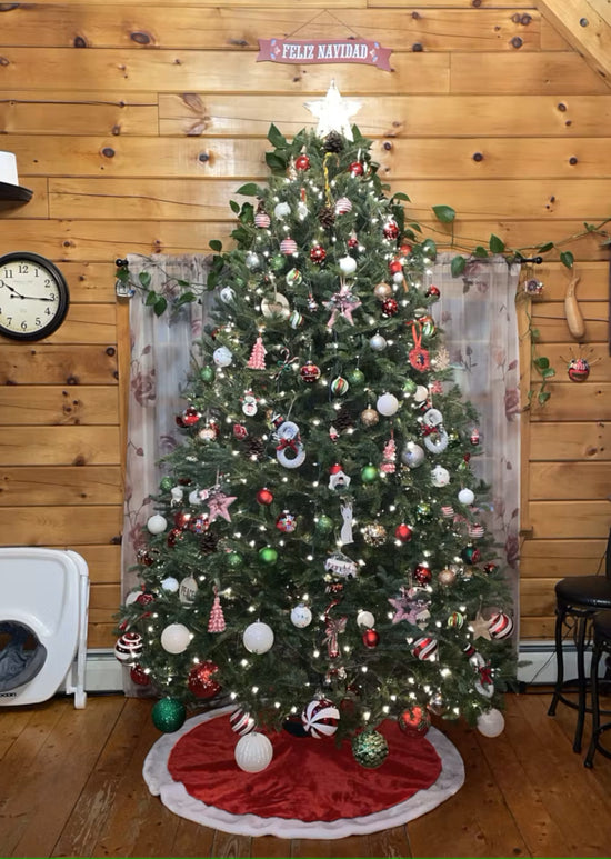 Real Christmas Trees Delivered 9 Foot Premium Balsam Fir Christmas Tree