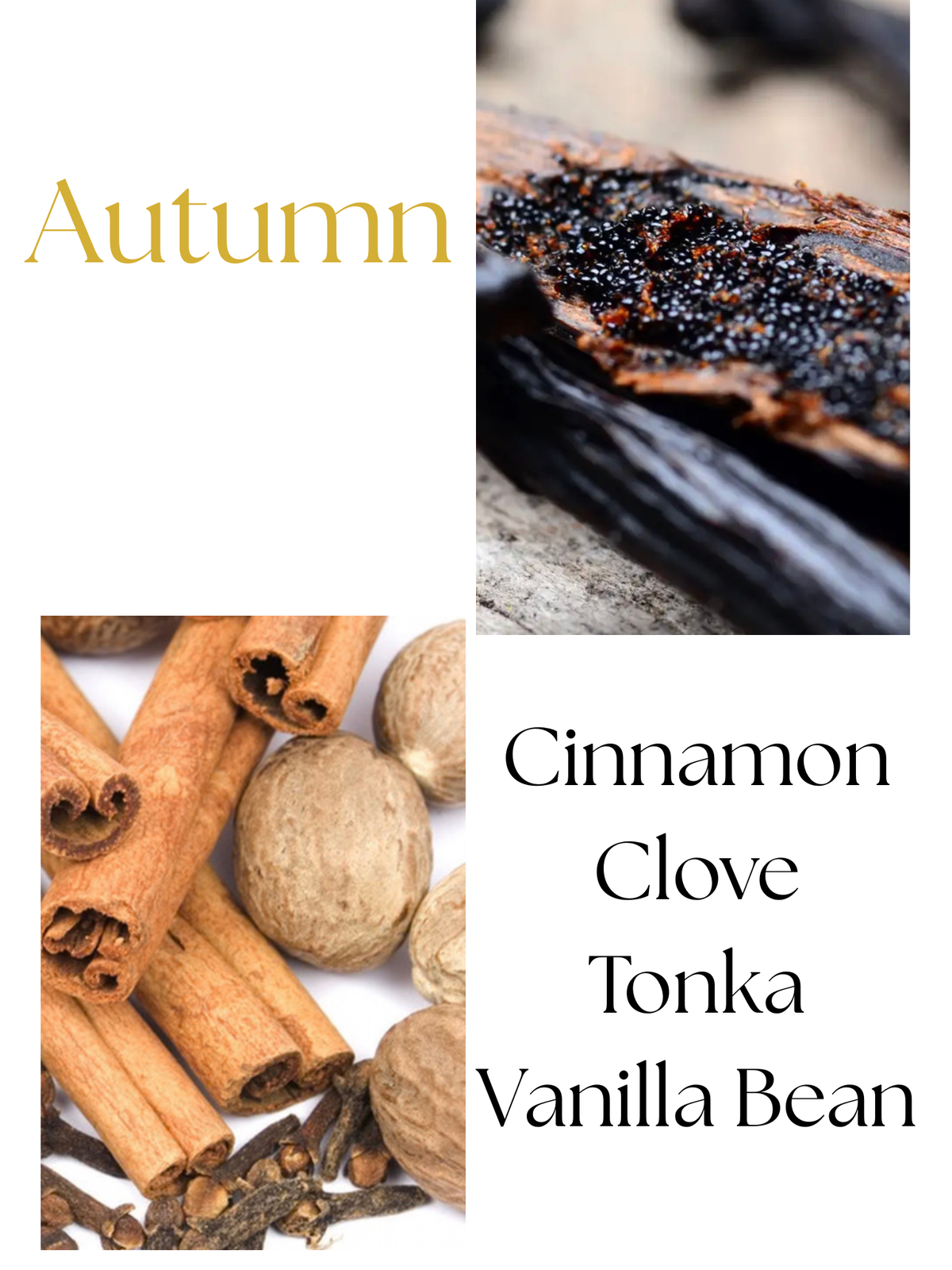 Autumn 4oz Room Spray- Cinnamon, Clove, Tonka, Vanilla Bean
