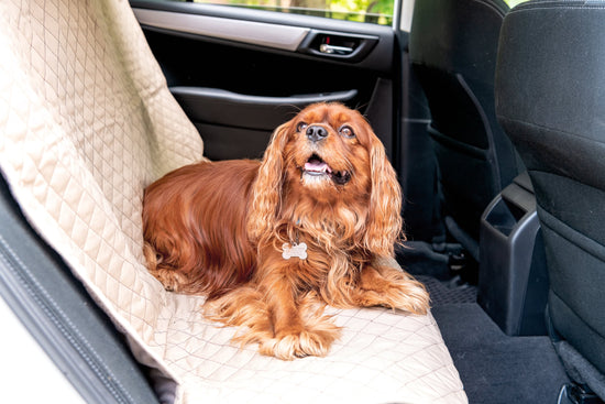 TuffutLuxx® Vehicle Protectors for Travel