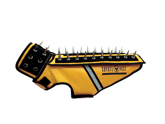HawkVest