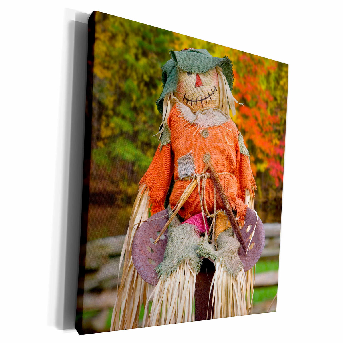 3dRose Tennessee, Townsend. Halloween scarecrow. - Museum Grade Canvas Wrap (cw_251408)