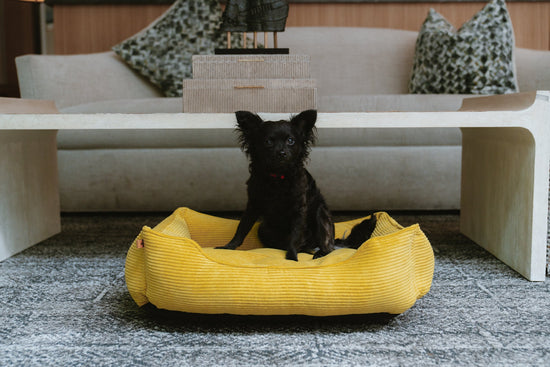 Chester & Lee | Fancy Corduroy Sleeper Dog Bed Sunny Yellow