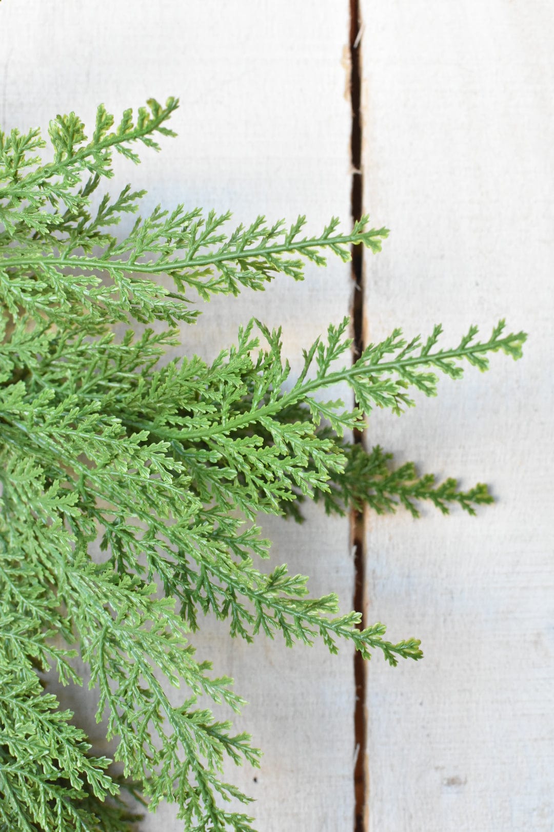 Small Cedar Wreath (4.5" Center Ring) CW2 — seasonal wreath for door wall mantel and Christmas decorating