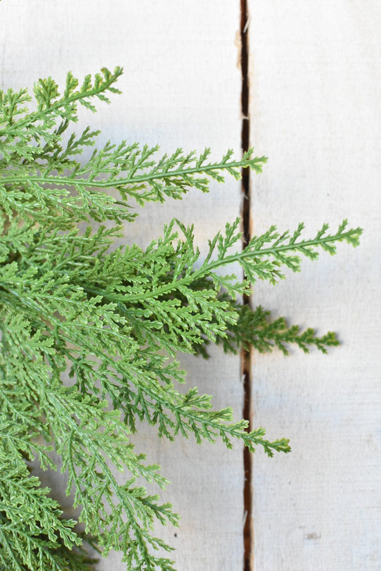 Small Cedar Wreath (4.5" Center Ring) CW2 — seasonal wreath for door wall mantel and Christmas decorating