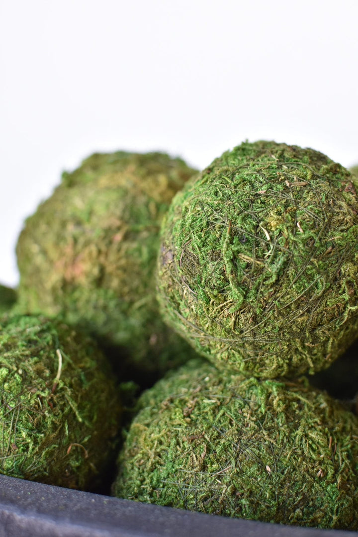 3" Moss Balls (set of 6)