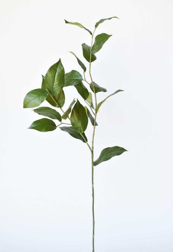 36" Faux Lemon Leaf Branch Stem