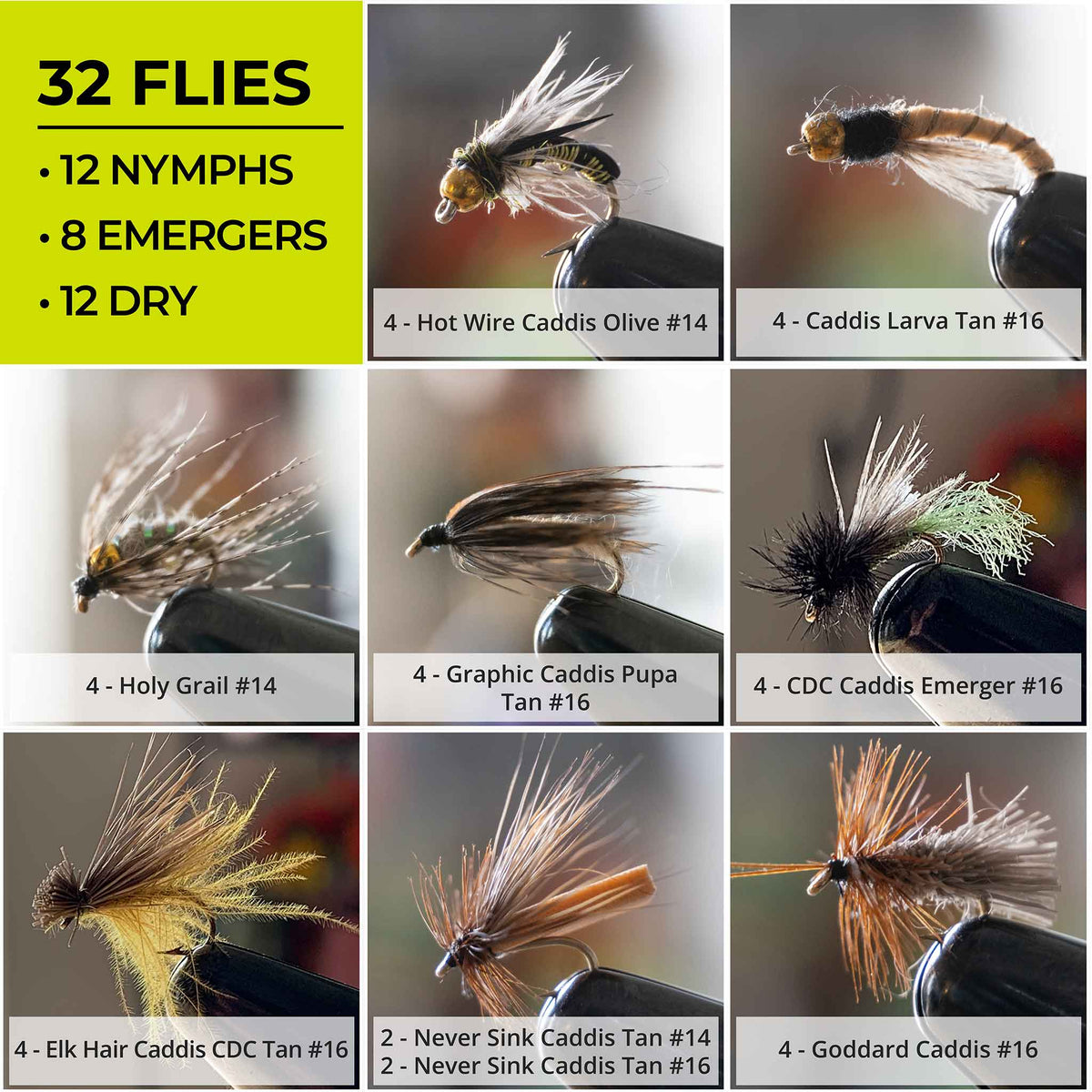 Caddis Life Cycle 32-Pack Fly Assortment - Fly Fishing Gift Ideas