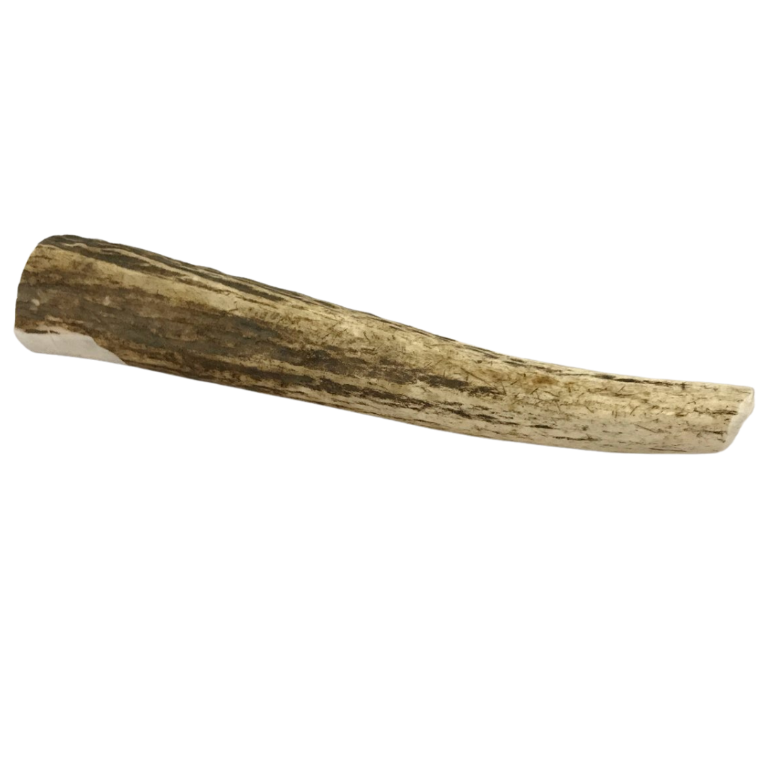 Large Whole Elk Antler for Dogs – 9.5–11.5"