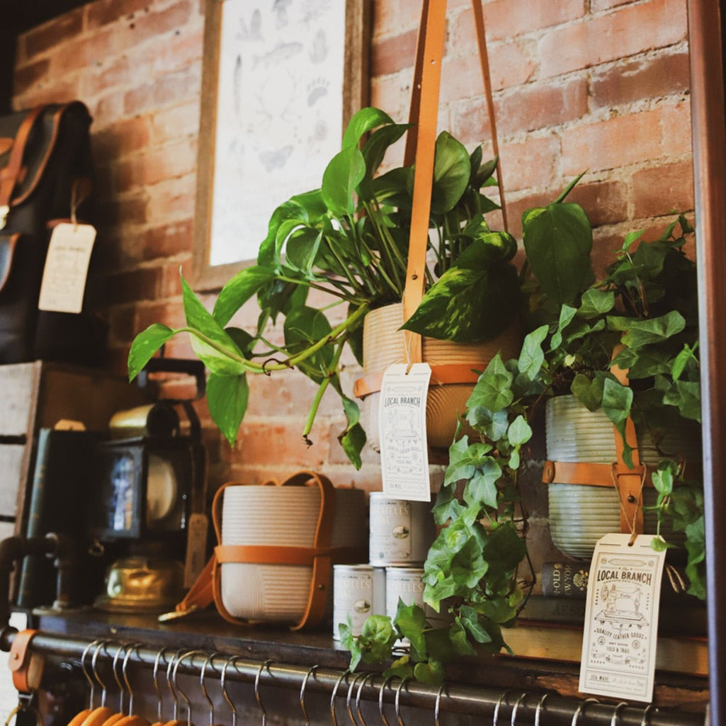 Leather Plant Hanger - USA Made